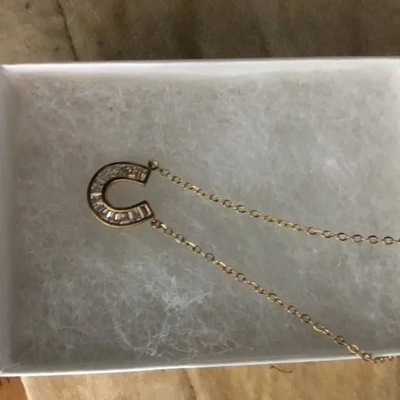 Lovely Child’s Horseshoe Necklace! - Picture 1 of 4